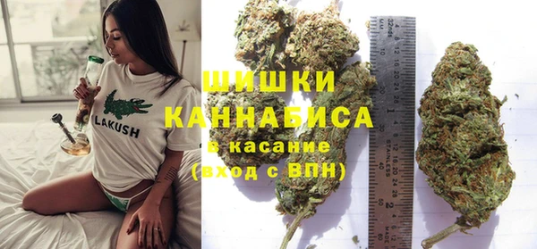 трава Корсаков