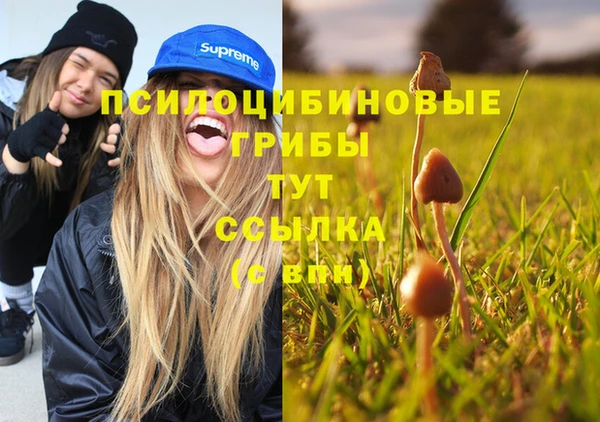 амф Козловка