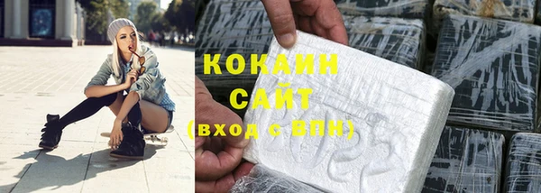 амф Козловка