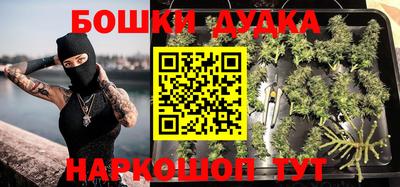 крисы Апшеронск