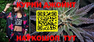 a pvp Бийск