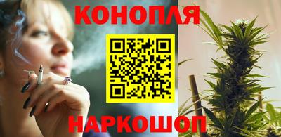 a pvp Бийск