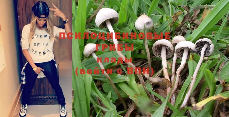 Галлюциногенные грибы Magic Shrooms  Коркино 