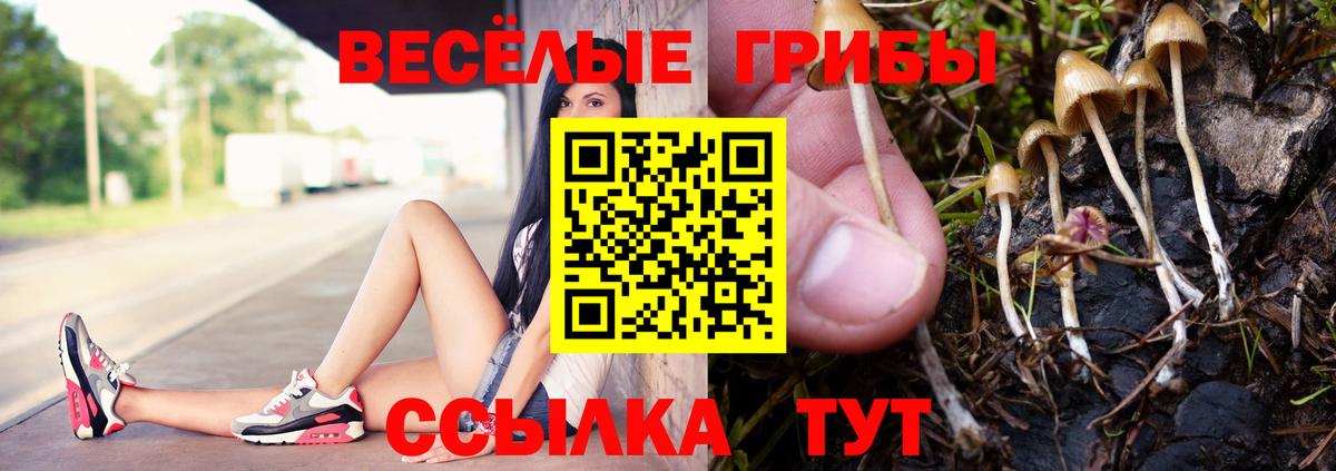 Галлюциногенные грибы MAGIC MUSHROOMS  Вход с VPN  Коркино 