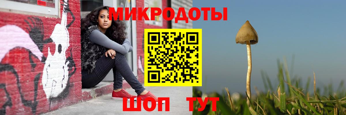 закладка  Галлюциногенные грибы прущие грибы  Коркино  Галлюциногенные грибы Psilocybe 